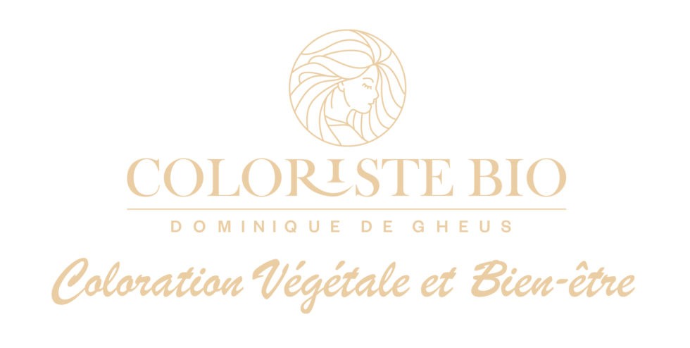 Dominique De Gheus - Logo